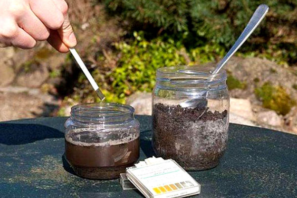 Soil Testing